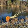11 b Rund um Ellwangen